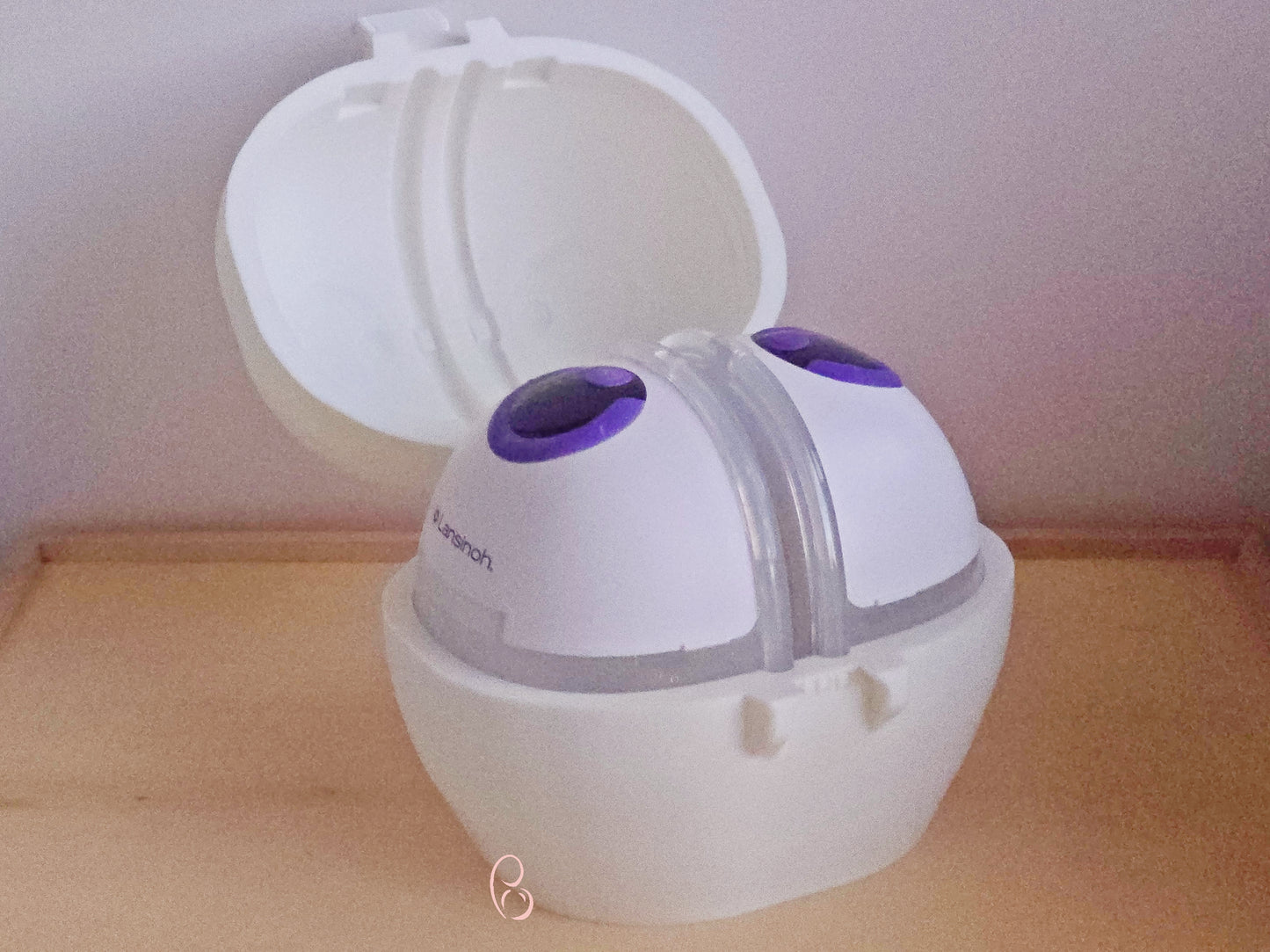 Lansinoh Discrete Duo Breast Pump Holder | Compact Fridge Storage for Pumping Moms